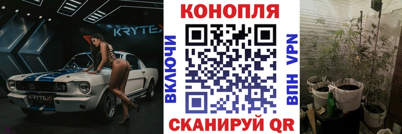 Где купить Торжок гидра ссылки МЕФ NBOMe МАРИХУАНА Альфа ПВП COCAIN
