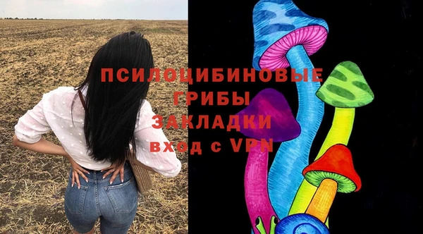 2c-b Абинск