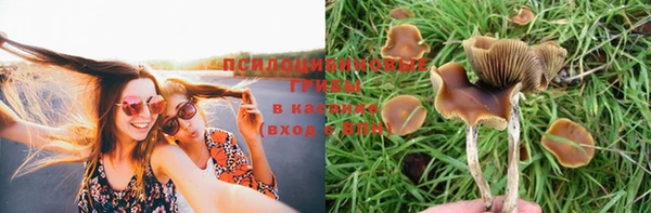 MDMA Абаза