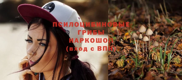 2c-b Абинск